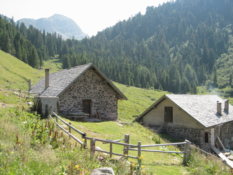 Malga Cazzorga è composta da due case: la malga e una rimessa. La incontriamo nel prato pendente vicino al sentiero.